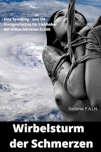 Wirbelsturm der Schmerzen - P.A.I.N. Stefanie - E-Book