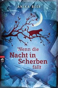 Wenn die Nacht in Scherben fällt - Anika Beer - E-Book