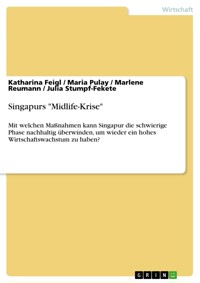 Singapurs "Midlife-Krise" - Katharina Feigl - E-Book