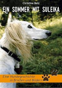 Ein Sommer mit Suleika - Christine Belz - E-Book