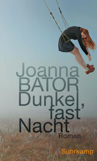 Dunkel, fast Nacht - Joanna Bator - E-Book