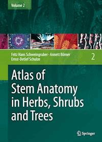 Atlas of Stem Anatomy in Herbs, Shrubs and Trees - Fritz Hans Schweingruber - E-Book