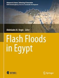 Flash Floods in Egypt -  - E-Book