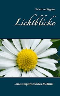 Lichtblicke - Norbert van Tiggelen - E-Book