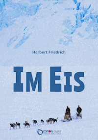 Im Eis - Herbert Friedrich - E-Book