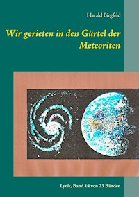 Wir gerieten in den Gürtel der Meteoriten - Harald Birgfeld - E-Book