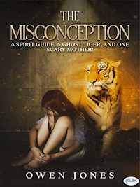 The Misconception - Owen Jones - E-Book