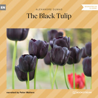 The Black Tulip (Unabridged) - Dumas Alexandre - Hörbuch