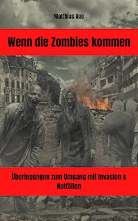 Wenn die Zombies kommen - Matthias Aue - E-Book