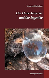 Die Haberletzerin und ihr Ingeniör - Gertraud Schubert - E-Book