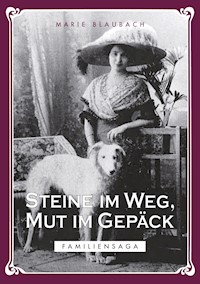 Steine im Weg, Mut im Gepäck - Marie Blaubach - E-Book