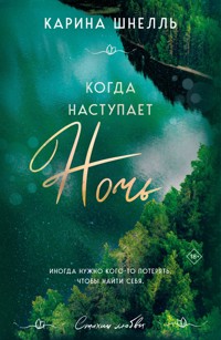 Когда наступает ночь - Карина Шнелль - E-Book