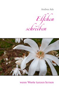 Elfchen schreiben - Andrea Ade - E-Book