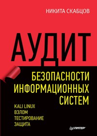 Аудит безопасности информационных систем - Никита Скабцов - E-Book