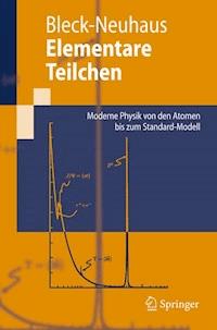 Elementare Teilchen - Jörn Bleck-Neuhaus - E-Book