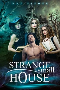 STRANGE SMALL HOUSE - Rax Fisher - E-Book