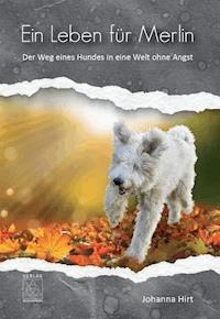Ein Leben für Merlin - Johanna Hirt - E-Book