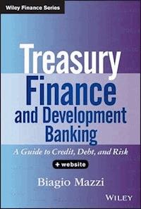 Treasury Finance and Development Banking - Biagio Mazzi - E-Book