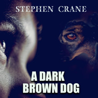 A Dark Brown Dog - Stephen Crane - Hörbuch