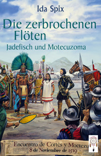Die zerbrochenen Flöten - Ida Spix - E-Book