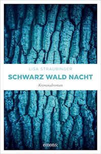 Schwarz Wald Nacht - Lisa Straubinger - E-Book