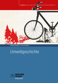 Umweltgeschichte -  - E-Book