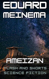 Ameizan - Meinema Eduard - E-Book
