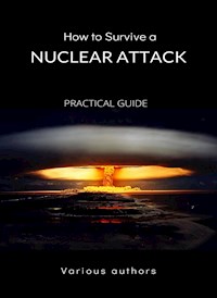 How to Survive a Nuclear Attack - PRACTICAL GUIDE (translated) - Various Authors - E-Book