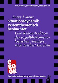 Situationsdynamik systemtheoretisch beobachtet - Franz Lorenz - E-Book