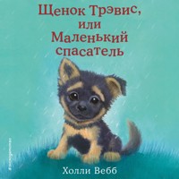 Щенок Трэвис, или Маленький спасатель - Холли Вебб - Hörbuch