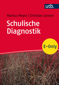 Schulische Diagnostik - Markus Richard Meyer - E-Book
