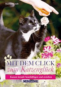 Mit dem Click zum Katzenglück - Marlitt Wendt - E-Book