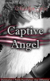 Captive Angel - Marilyn Fae - E-Book