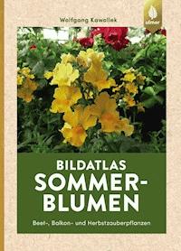 Sommerblumen - Wolfgang Kawollek - E-Book