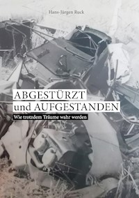 Abgestürzt und aufgestanden - Hans-Jürgen Ruck - E-Book