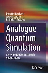 Analogue Quantum Simulation - Dominik Hangleiter - E-Book