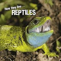 How they live... Reptiles - Ivan Esenko - E-Book
