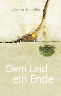 Dem Leid ein Ende - Johannes Schmidtner - E-Book