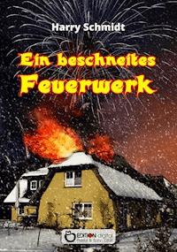 Ein beschneites Feuerwerk - Harry Schmidtt - E-Book