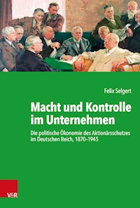 Macht und Kontrolle im Unternehmen - Felix Selgert - E-Book