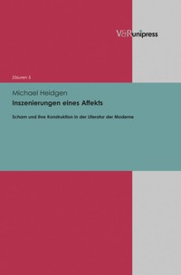 Inszenierungen eines Affekts - Michael Heidgen - E-Book