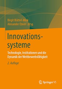 Innovationssysteme -  - E-Book