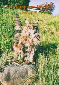 Nur temporär flexibel - Peter Keller - E-Book