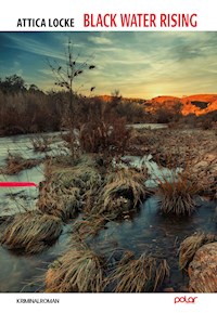 Black Water Rising - Attica Locke - E-Book