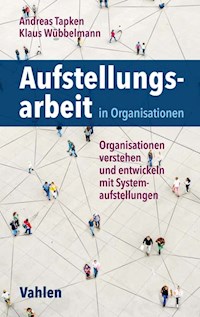 Aufstellungsarbeit in Organisationen - Andreas Tapken - E-Book