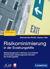 Risikominimierung in der Erziehungshilfe - Bartholomäus Brieller - E-Book
