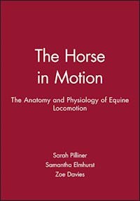 The Horse in Motion - Sarah Pilliner - E-Book