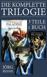 Das Schicksal der Paladine - Jörg Benne - E-Book