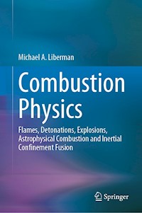 Combustion Physics - Michael A. Liberman - E-Book