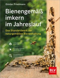 Bienengemäß imkern im Jahreslauf - Günter Friedmann - E-Book